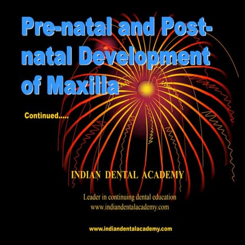 Pre natal and post-natal development of maxilla part 2/certified fixed orthod...