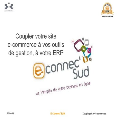 Couplage ERP avec site e-commerce