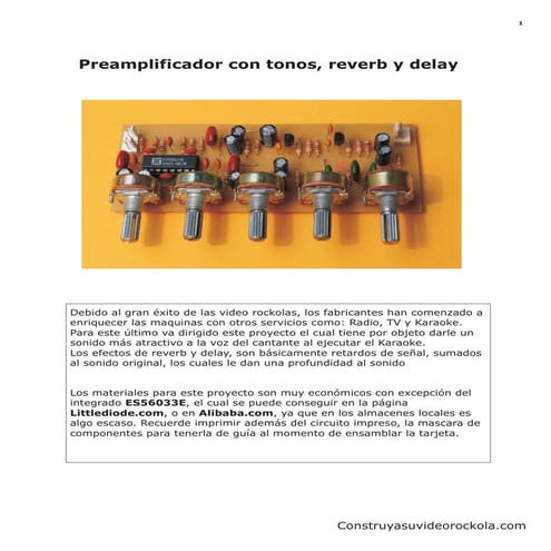 Preamplificador Con Tonos, Reverb Y Delay
