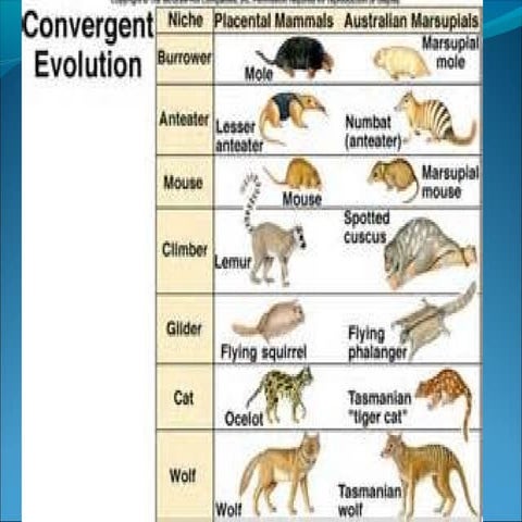 Preanalytical variables and biological variations