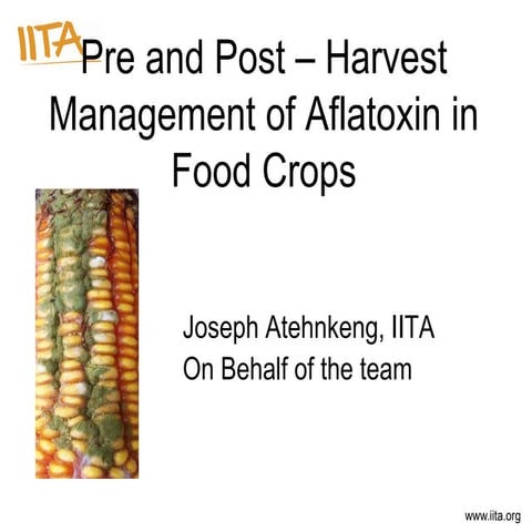 Pre and Post-Harvest Management of Aflatoxin in Food Crops
