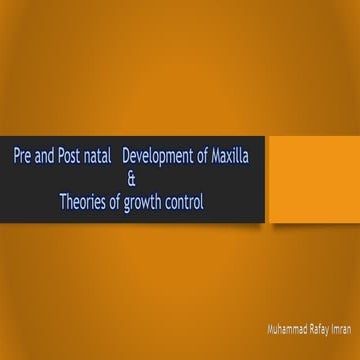 Pre and post natal growth of maxilla
