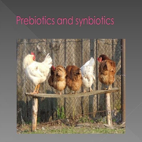 Gut physiology and health importance in commercial poultry | PPTX