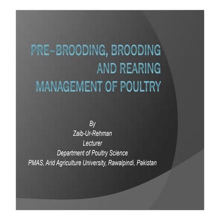 Pre –brooding, brooding and rearing management of chicks