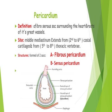 precardium.pptx