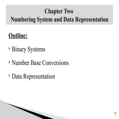 Comprehensive Guide to Numbering Systems and Data Representation in ...
