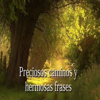 Preciosos caminos, para pasear y co...