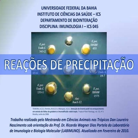 Precipitacao