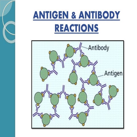 Antigen-Antibody Reactions