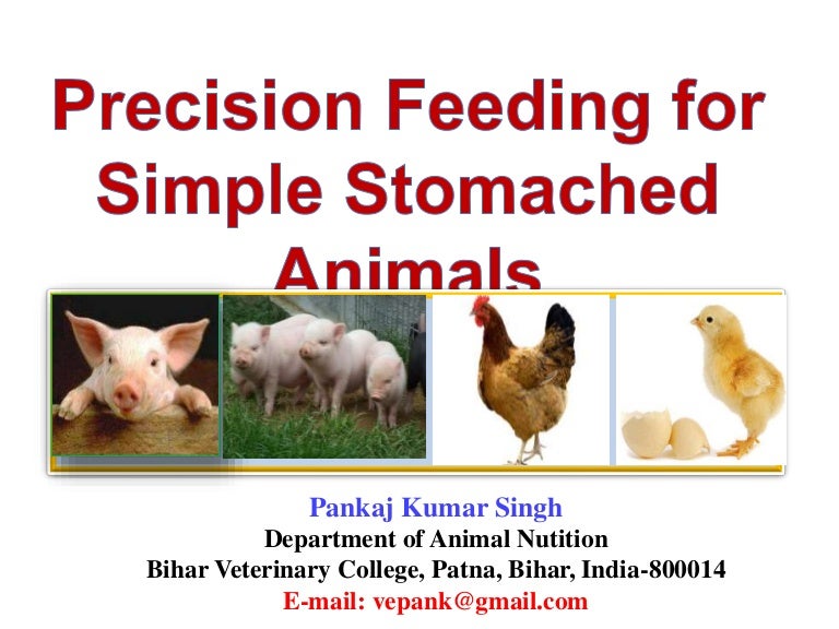 Precision feeding in livestock