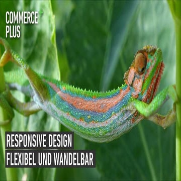 Responsive Design - flexibel und wandelbar