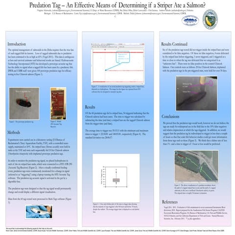 Chinook Salmon and Steelhead Loss Study, Tracy Fish Collection Facility ...