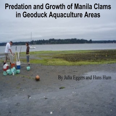 Predation and Growth of Manila Clams in Geoduck Aquaculture Areas | PPT