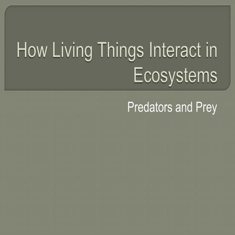 Predator prey competition