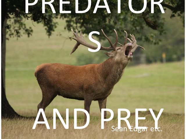 Predators