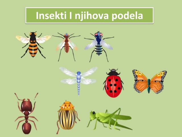 Biologija - nauka o životu