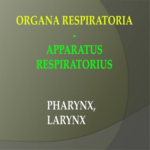 Predavanje pharynx | PPTX