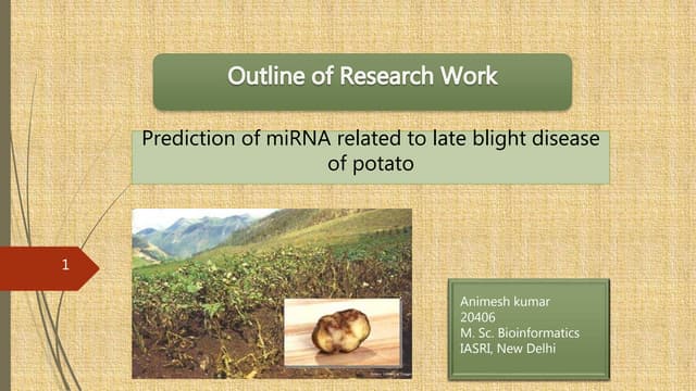 Prediction of mi-RNA related to late blight disease of potato