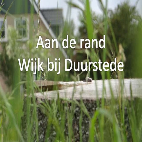 Preek van de leek Klaas IJkema: 'Aan de rand van Wijk bij Duurstede'