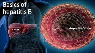 Diseased Livers Pics By Hepatitis B Diseased Livers Pics By Hepatitis B