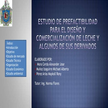 Prefactibilidad de diseño de una planta procesadora lacteas