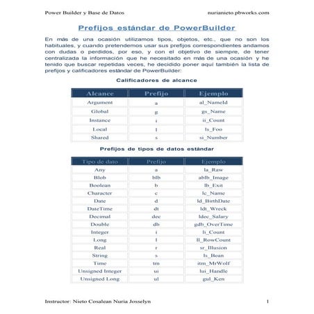 Prefijos EstáNdar De Power Builder