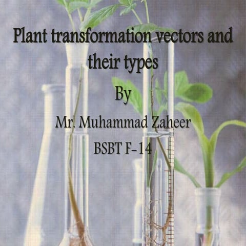 vector and its types