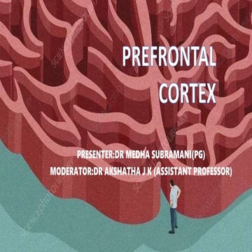 PREFRONTAL CORTEX.pptx