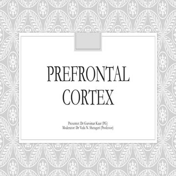 Prefrontal Cortex (2).pptx