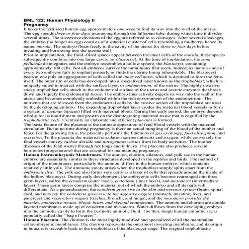 Language Implementation Patterns Terence Parr | PDF