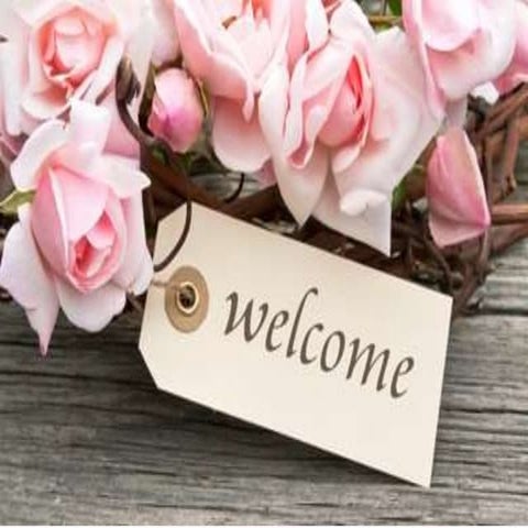 PREGNANCY AND THERE DIFFERENT STAGES / PPT