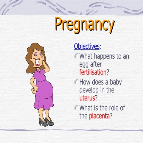 Pregnancy