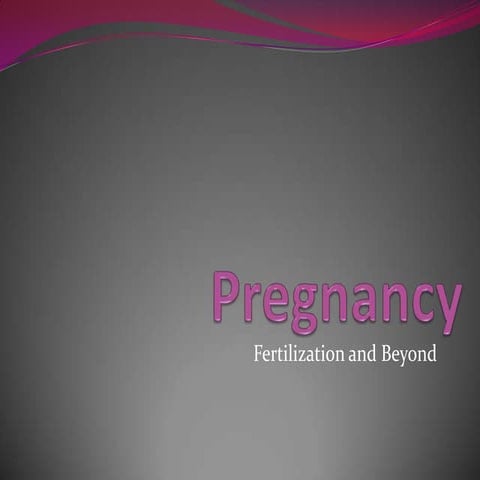 Pregnancy health