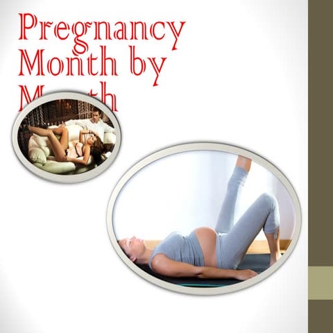 Pregnancy Month by Month