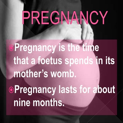 Pregnancy powerpoint final