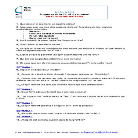 Preguntes del documental vientre matern