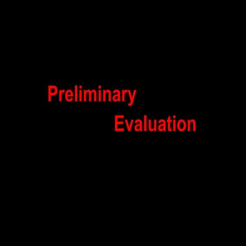 Preliminary Evaluation
