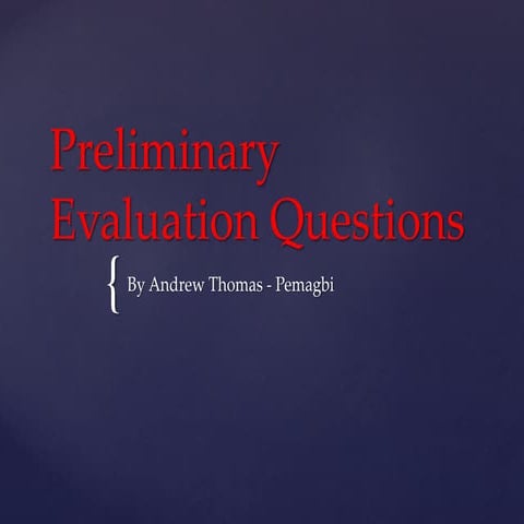 Preliminary evaluation questions