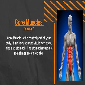 PATHFIT 2: The major muscles of core include: