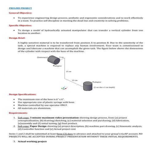 Prelims project briefx