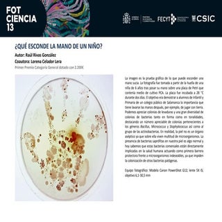 Premiadas fotciencia13