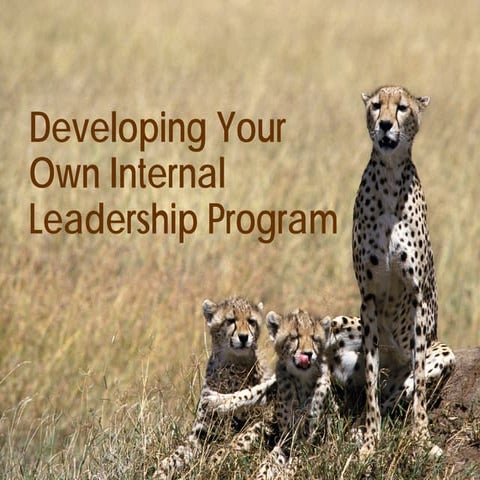 Premier Events - Developing Your Own Internal Leadership Program