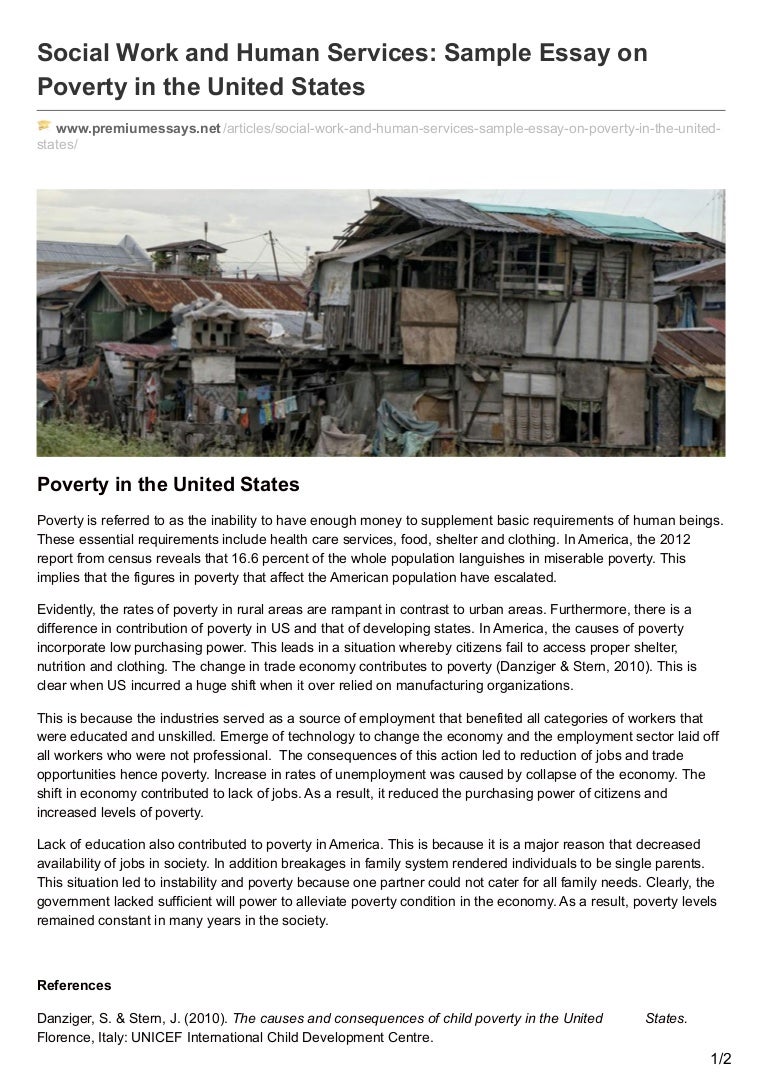 Essay on human services