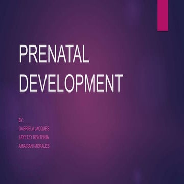 Prenatal development