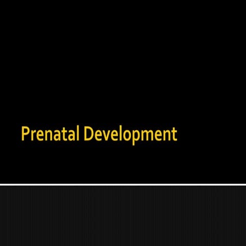 Prenatal development