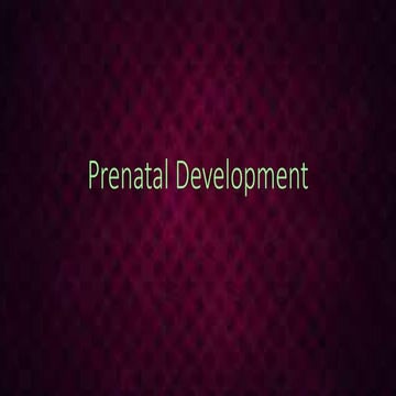 Prenatal development