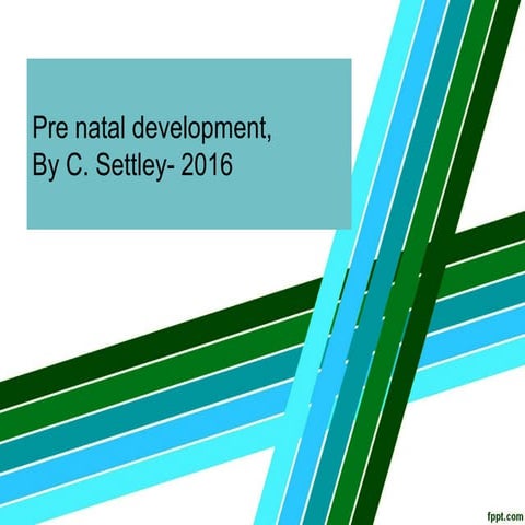 Pre natal development