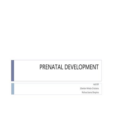 Prenatal development