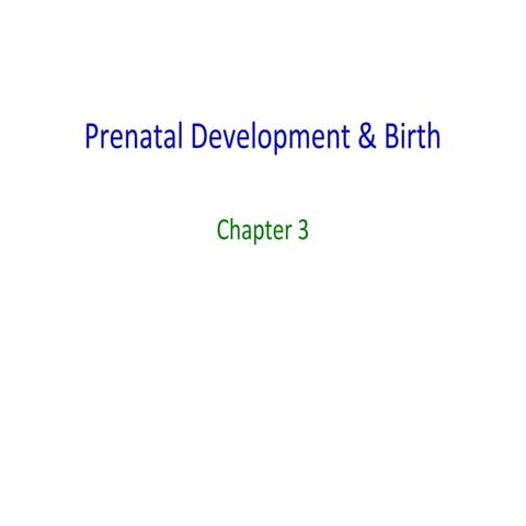 Prenatal development birth 