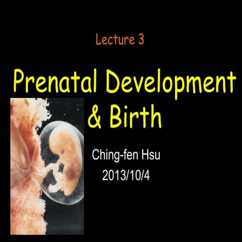 Prenatal development&birth 3